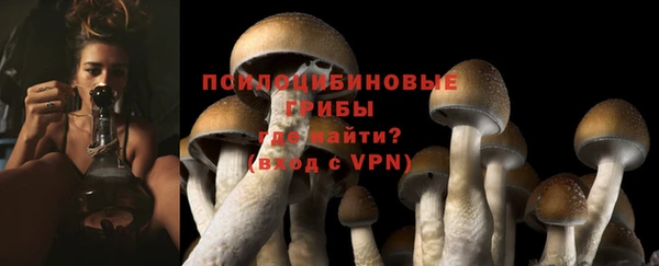 мескалин Алексин