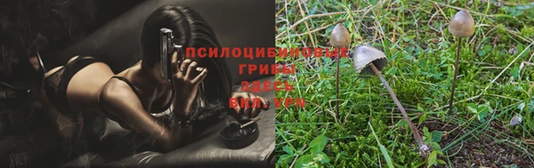 марки nbome Алзамай
