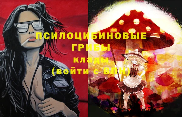 PSILOCYBIN Алексеевка