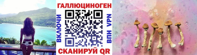 ОМГ ОМГ вход Хадыженск Псилоцибиновые грибы Psilocybe цена
